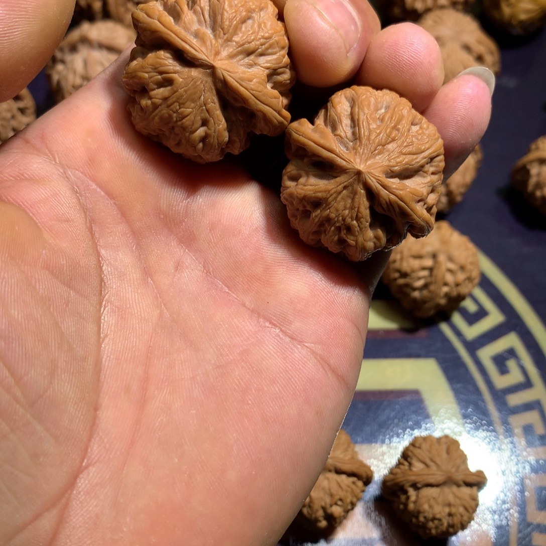 文玩核桃把件粗筋36