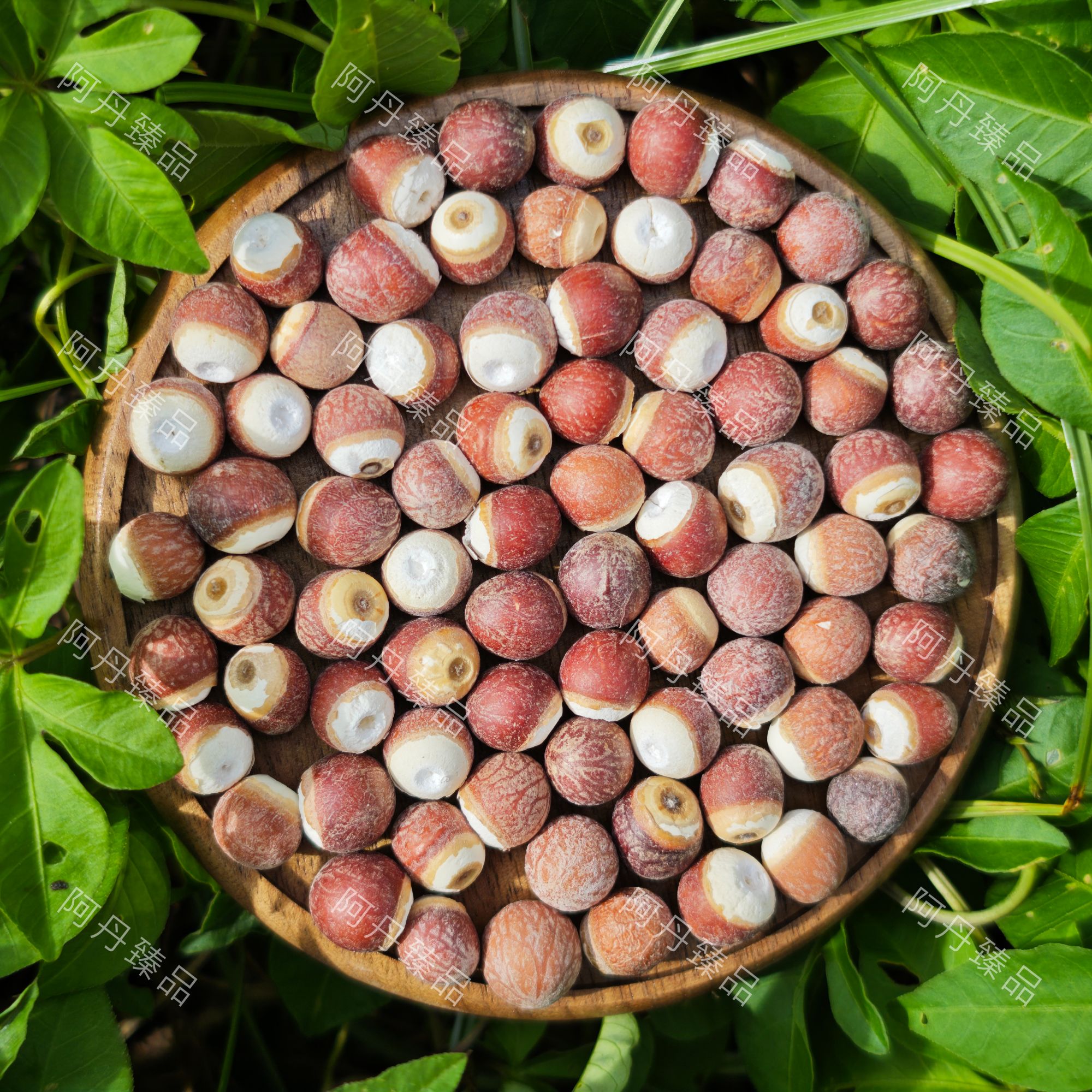 【阿丹臻品】芡实 农家土特产（已开价）