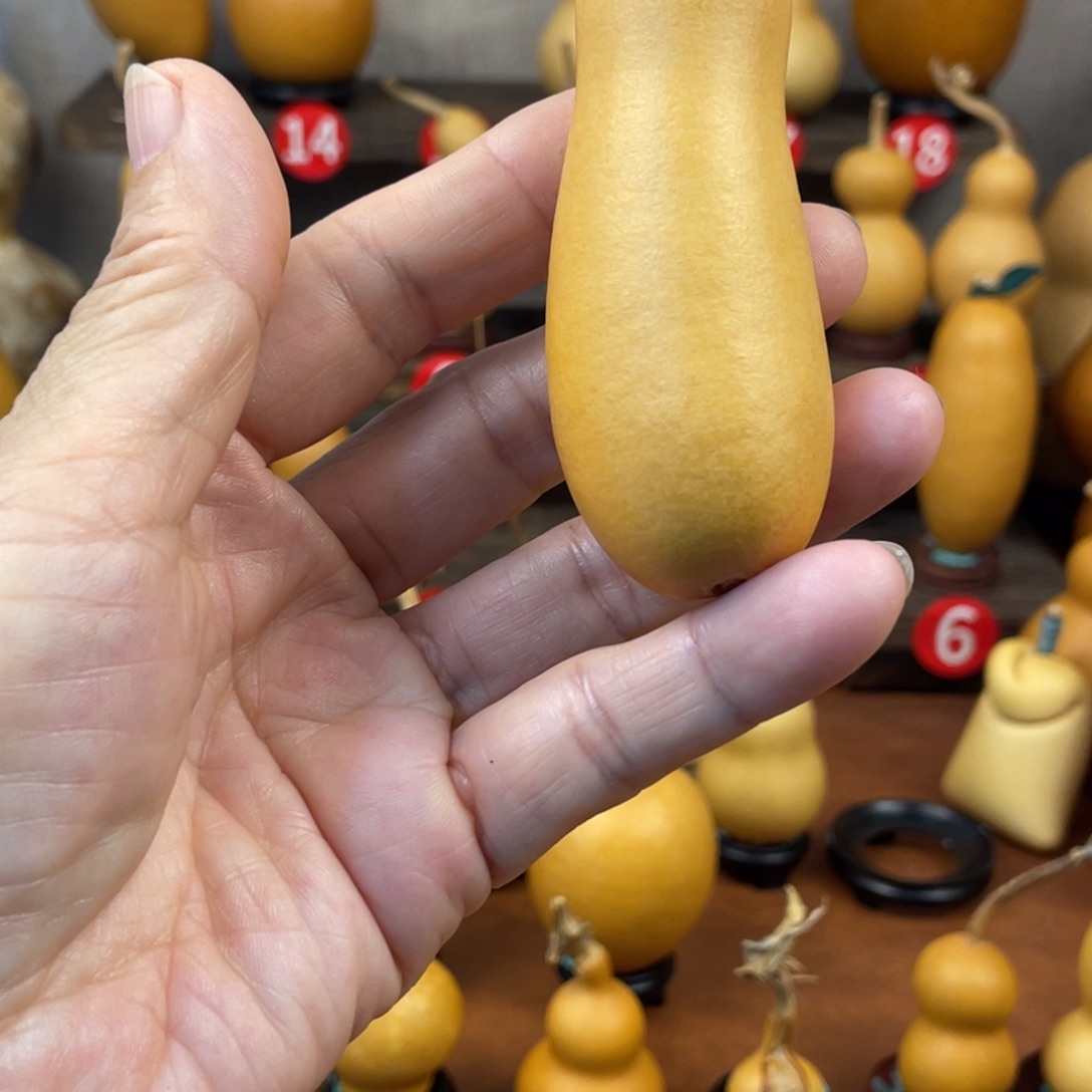 竹***宝葫芦哈哈哈哈哈哈哈哈