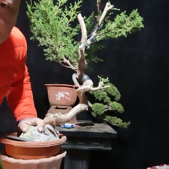 心***想无花朵好好好好好好