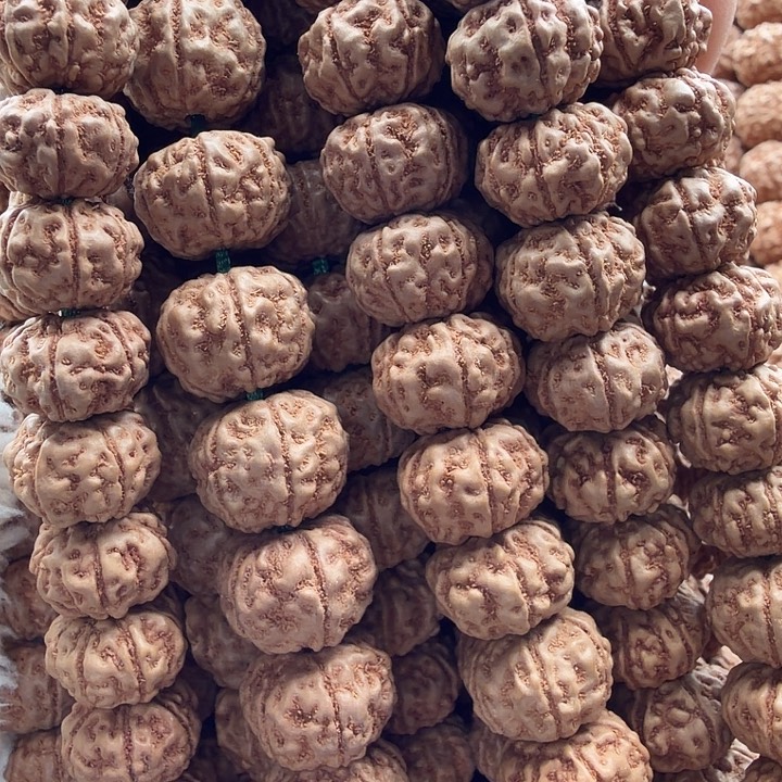 吊坠金刚菩提平细6瓣尺寸随机