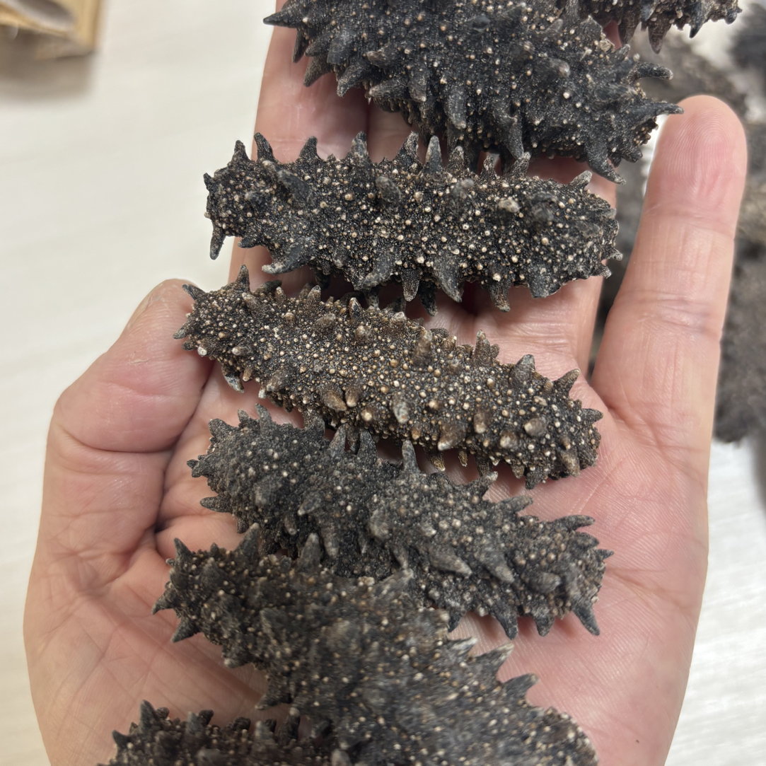 俄参缘俄罗斯淡干大红海参83头左右