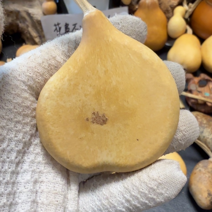 非***鱼6666666666677777777788