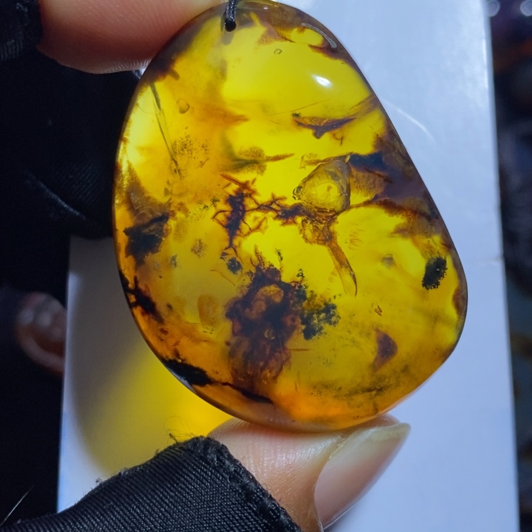 琥珀未镶嵌裸石。。。