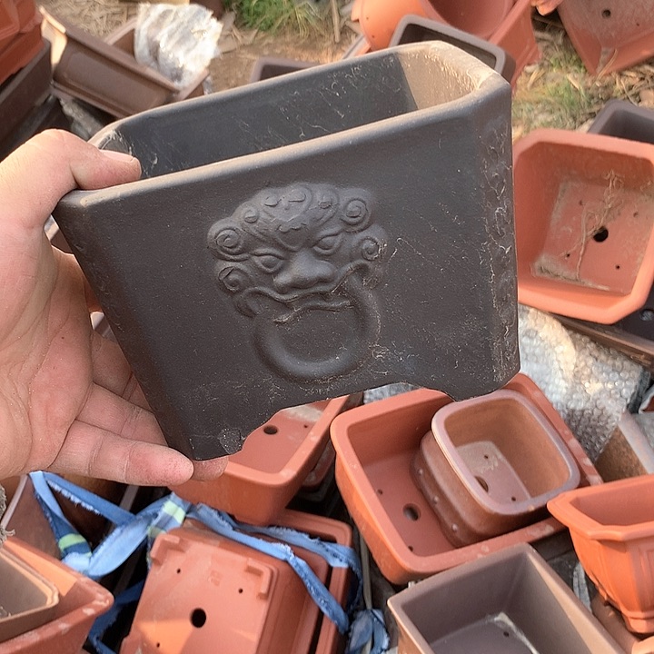 紫砂没有你喜欢吃辣不