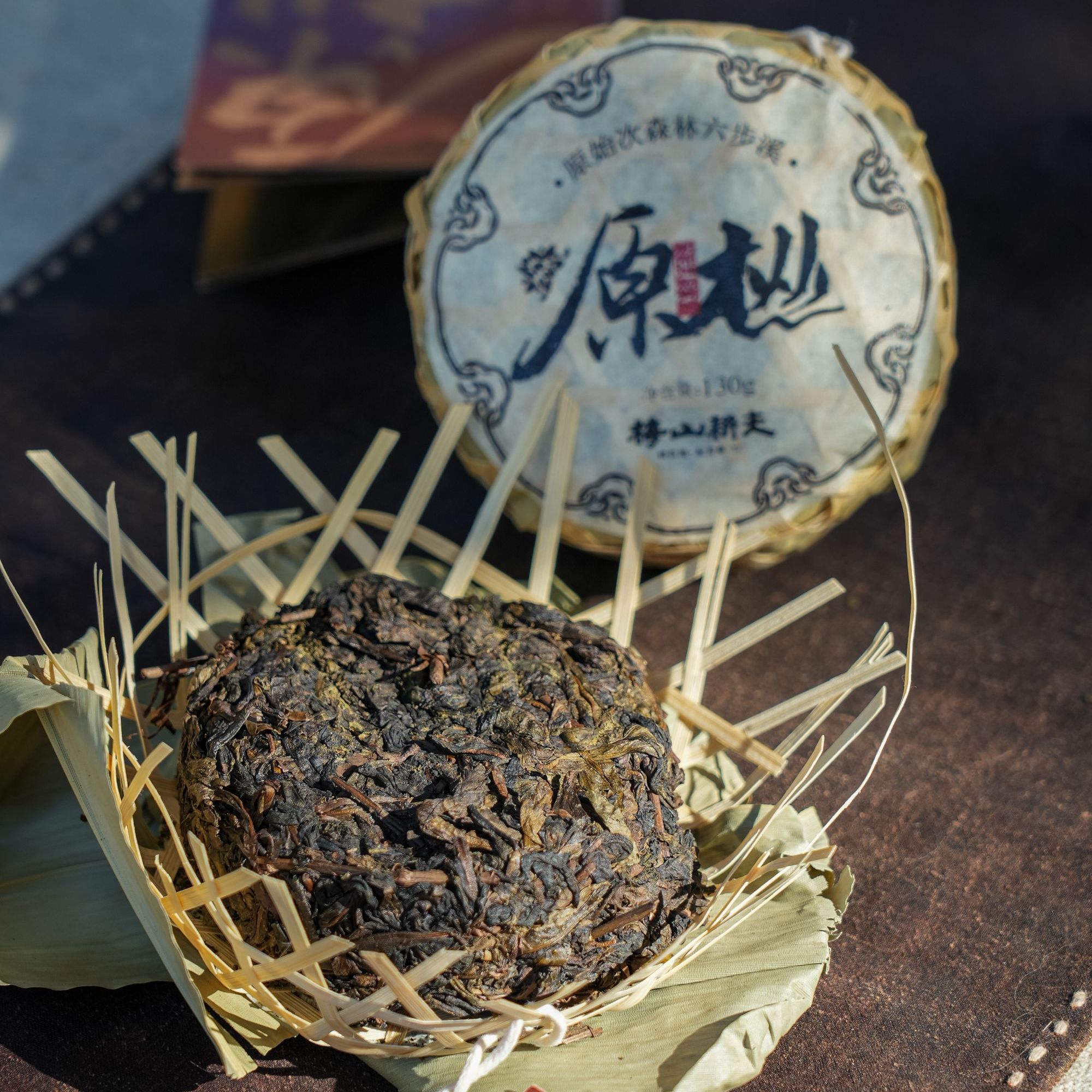 【静谧森林】松柏草木香，通透的枞木韵，2022安化六步溪原始次森林