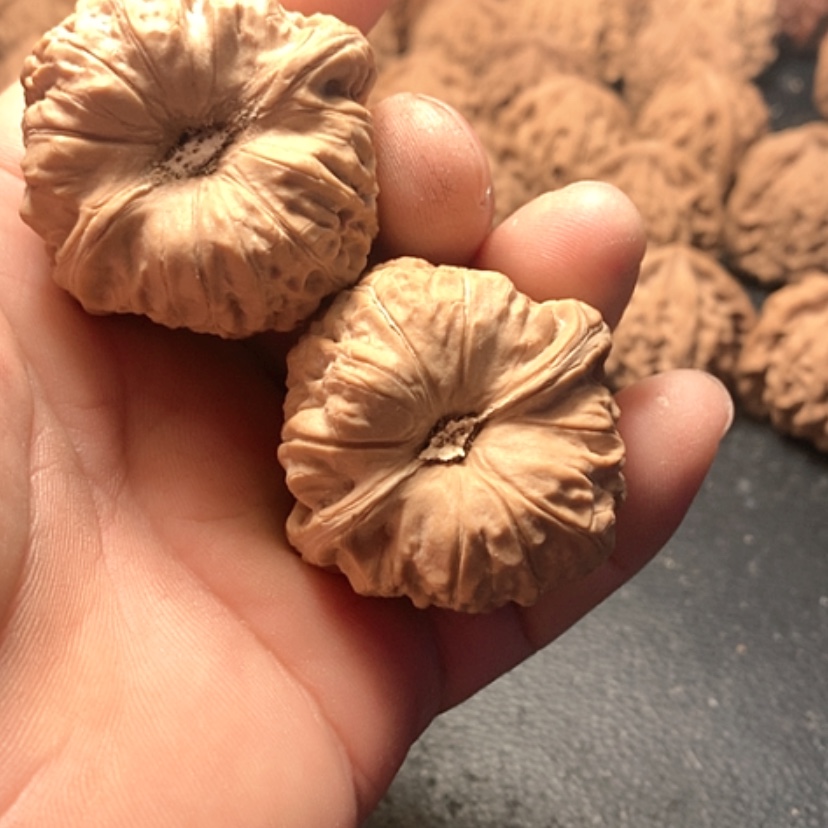 【闪购商品】C***界南瓜墩