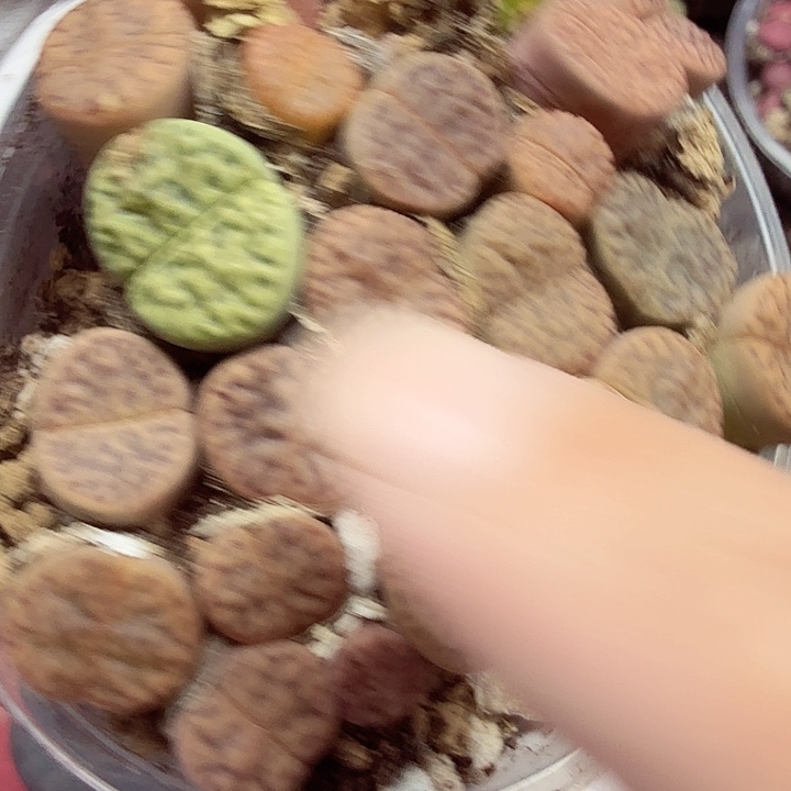 这个小镇真的绝赞314这