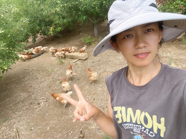 【呵呵家】果园散养乌鸡蛋吃谷物 喝山泉水 初生蛋 蛋比较小