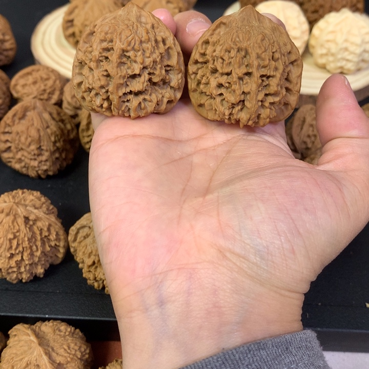 满天星干就完了哈