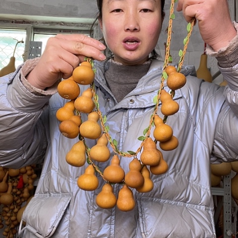 天然植物葫芦文玩