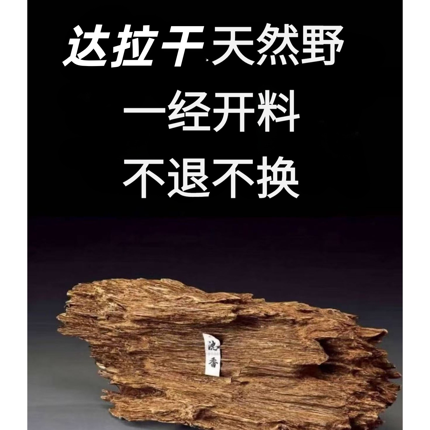 达拉干15素圈 陈汶出品