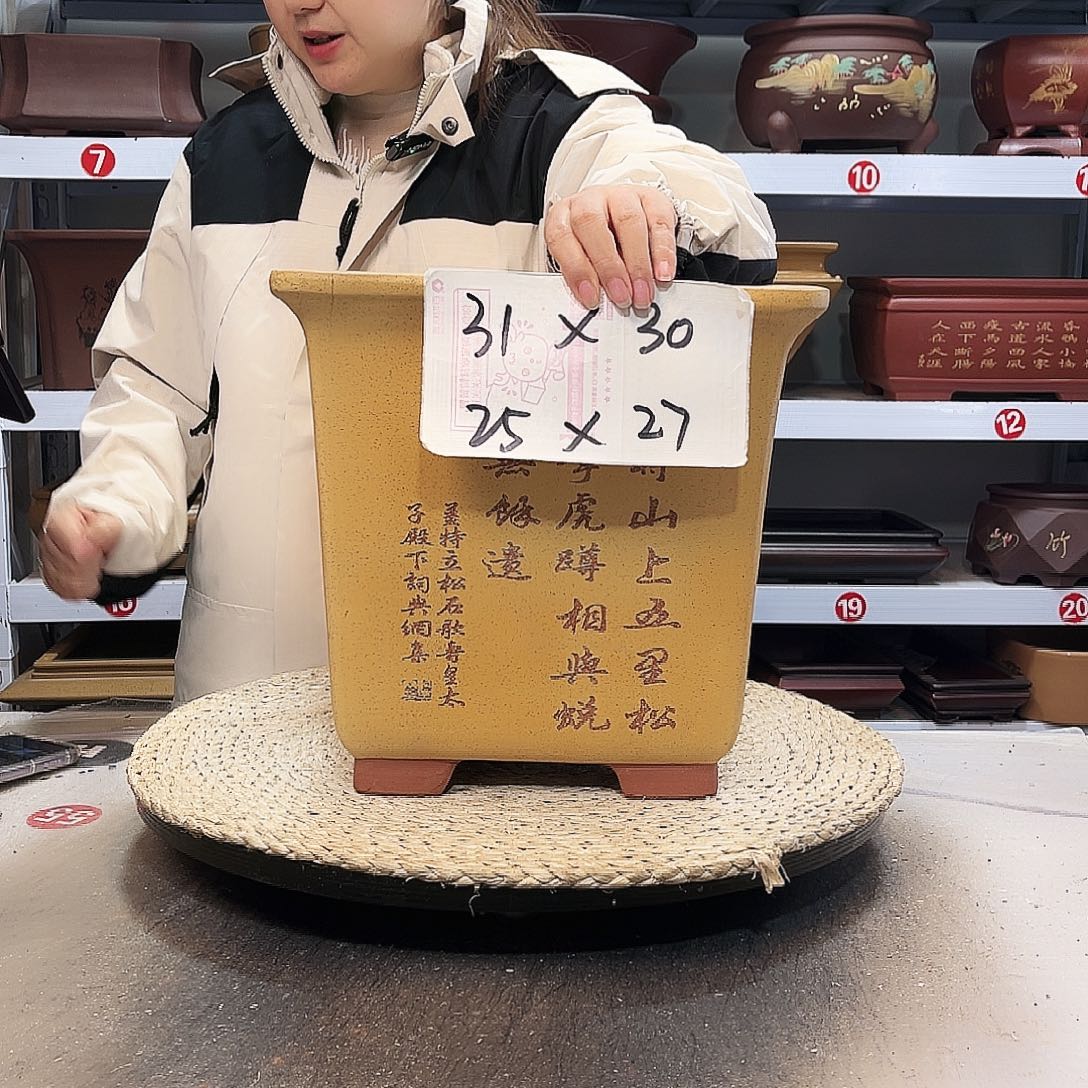 花盆紫砂紫砂花盆里