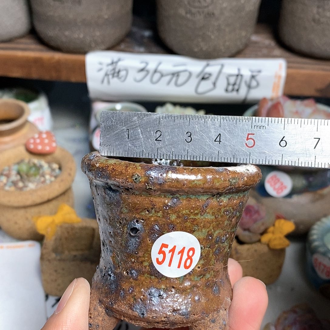 红陶拍5送一个小