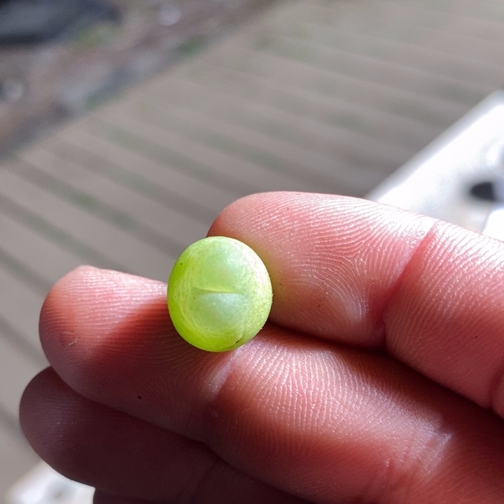 17278有伤一个一个