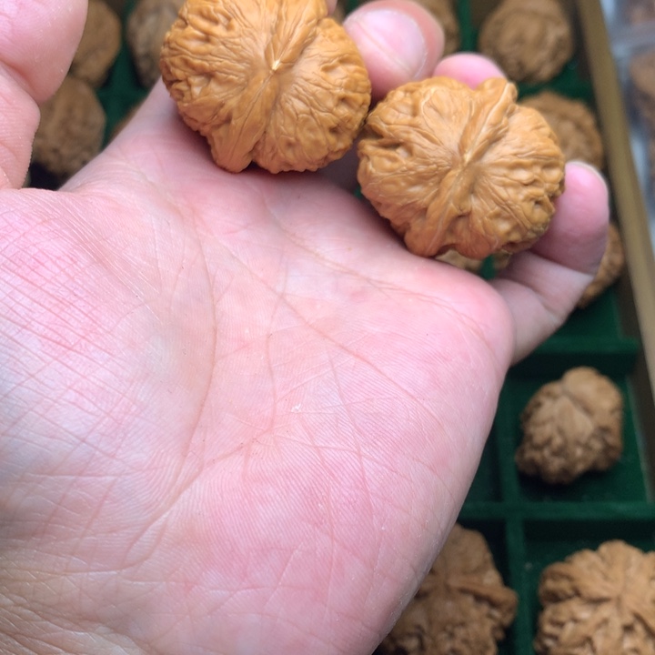 把件核桃38全品元宝