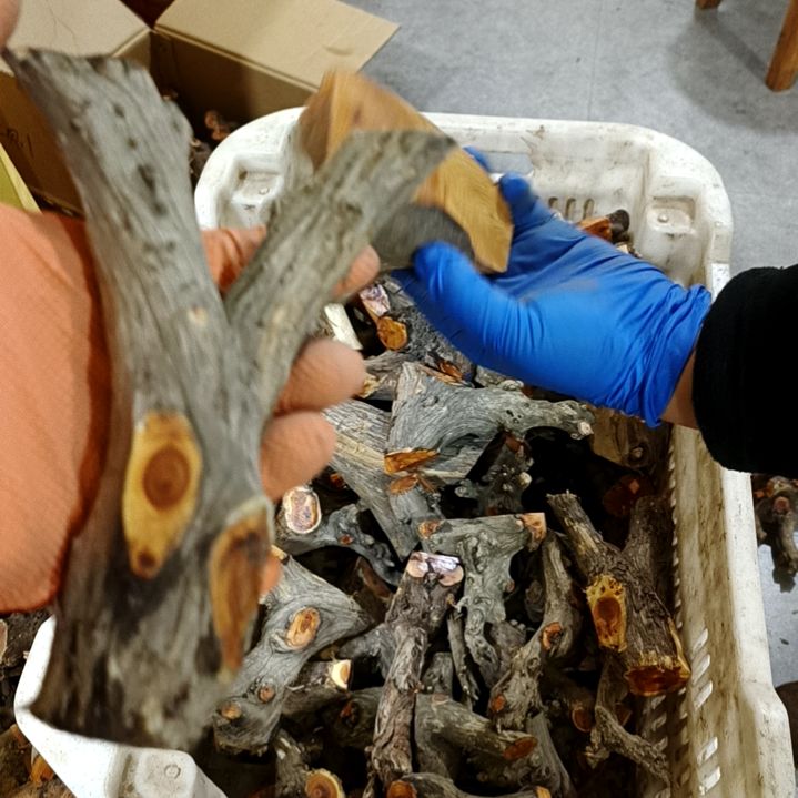 风***梦香榧木崖柏原叉崖柏原叉崖柏原叉