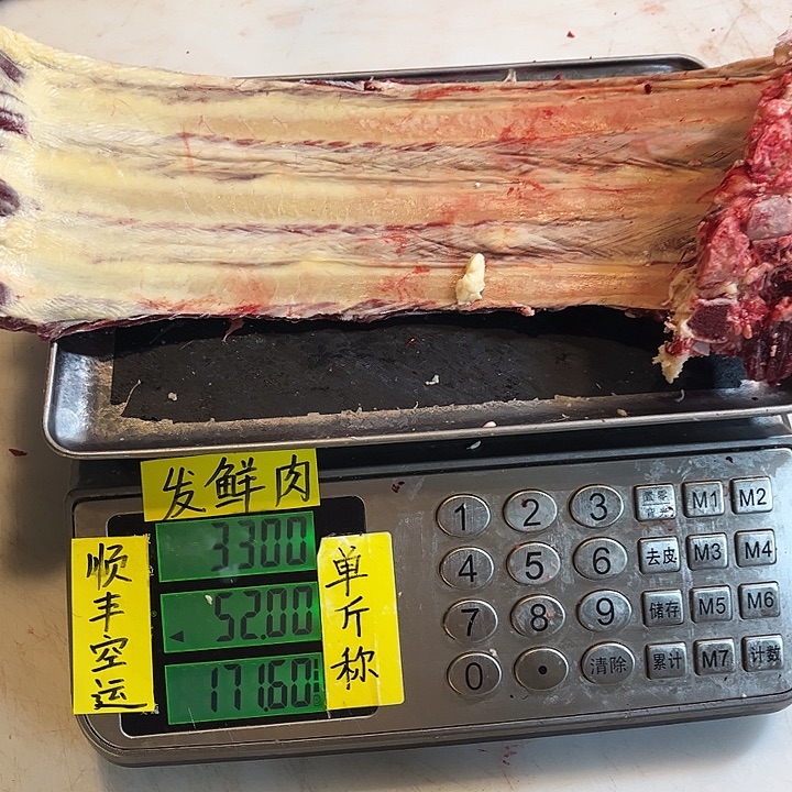 事***鑫18幸福航空吗更好姐姐