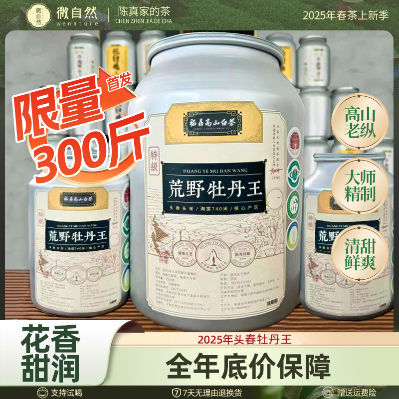 超杜·2025年·荒野头春牡丹王一芽一叶太姥山传统日晒白茶