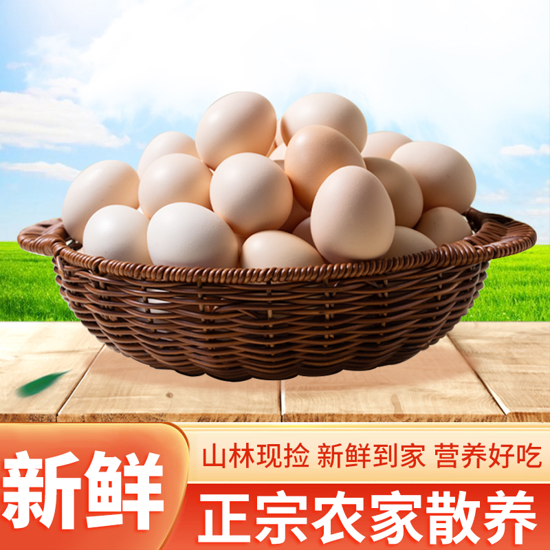 跑山散养皖南东至土鸡蛋SGS检测无激无抗无残留没有色素苏丹红-2