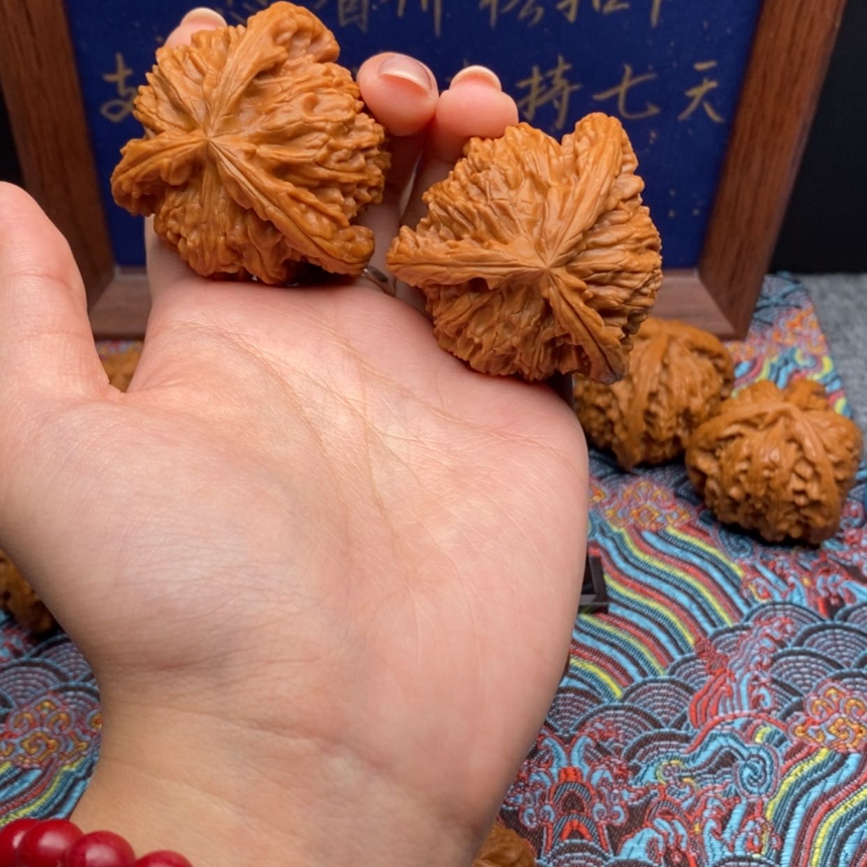 【闪购商品】熊白狮