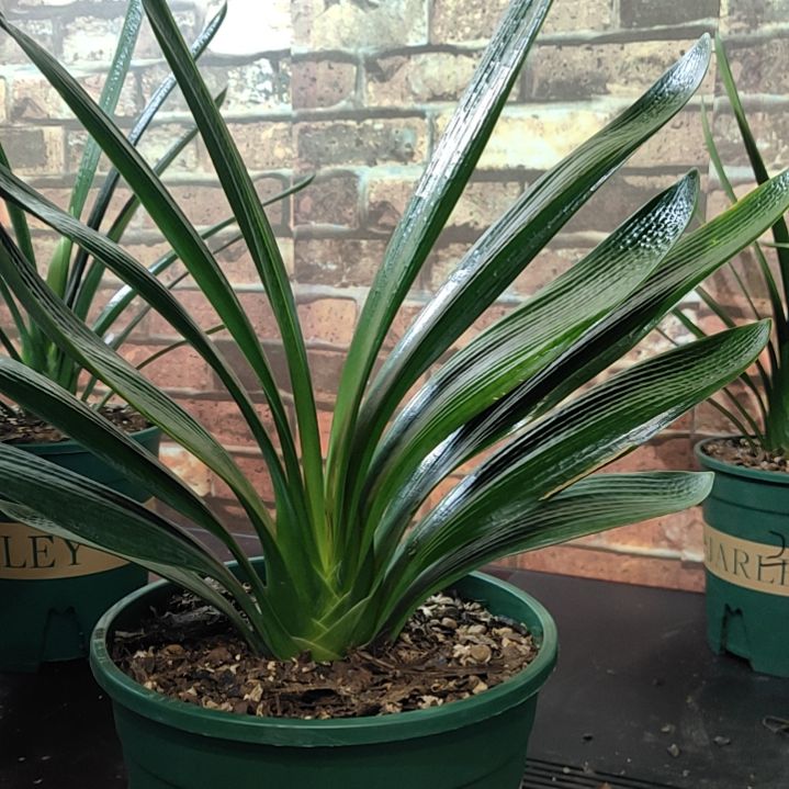 完全开放1111111111