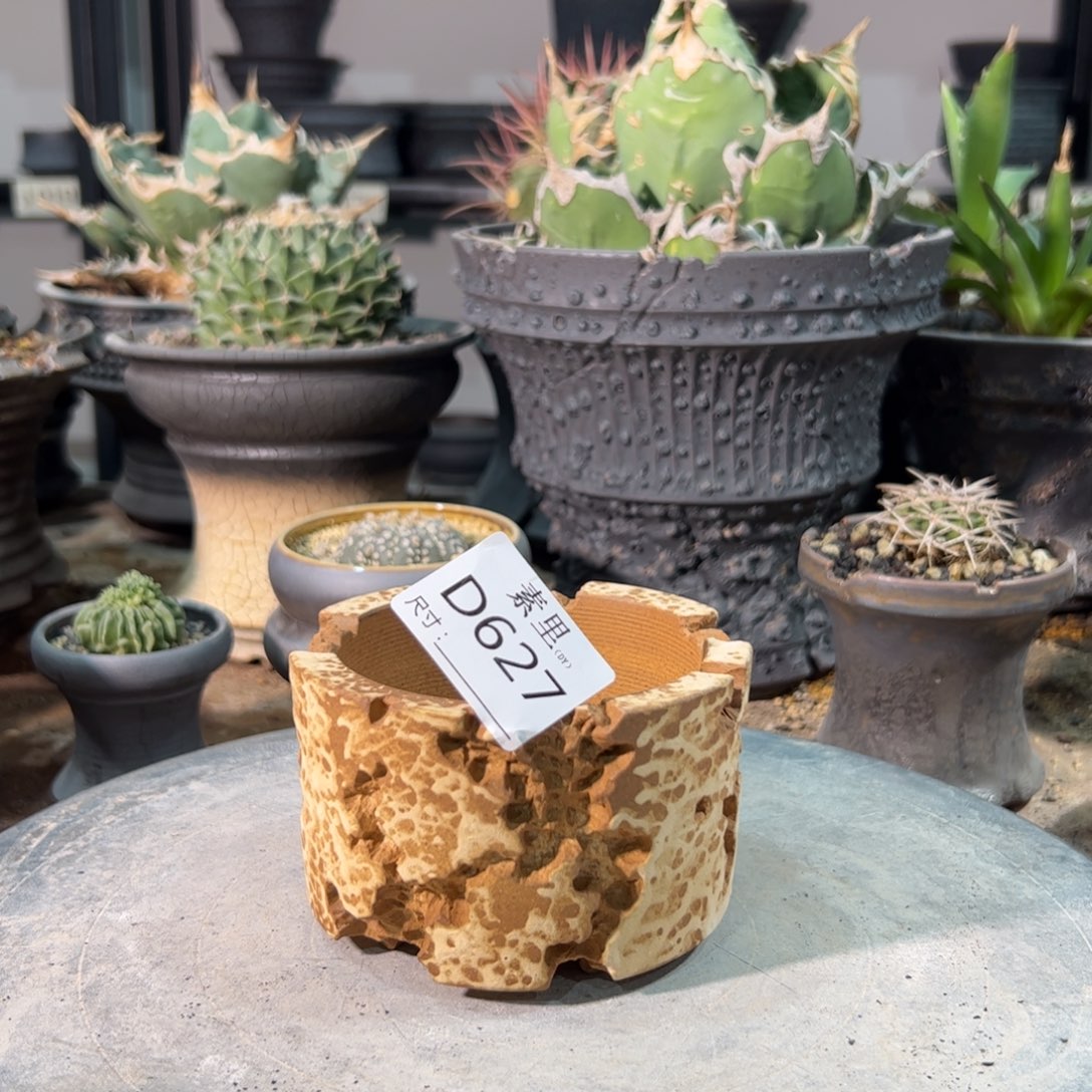 景德镇手工素里内口8.5高6.5