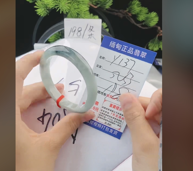 Y137缅甸翡翠手镯处理198/条【一物一证】实物以直播间为准