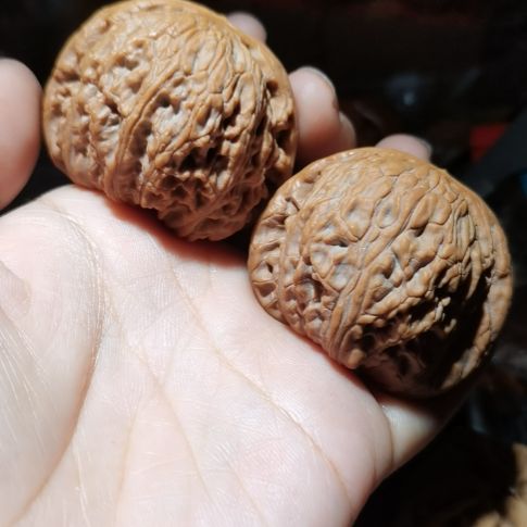 猴头核桃吊坠45泥鳅背