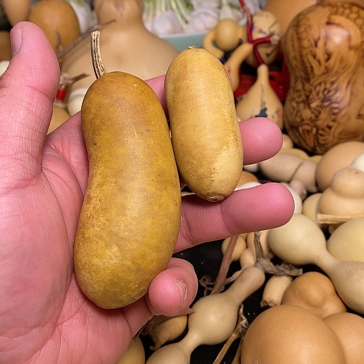 爱*惠精品葫芦手把葫芦30