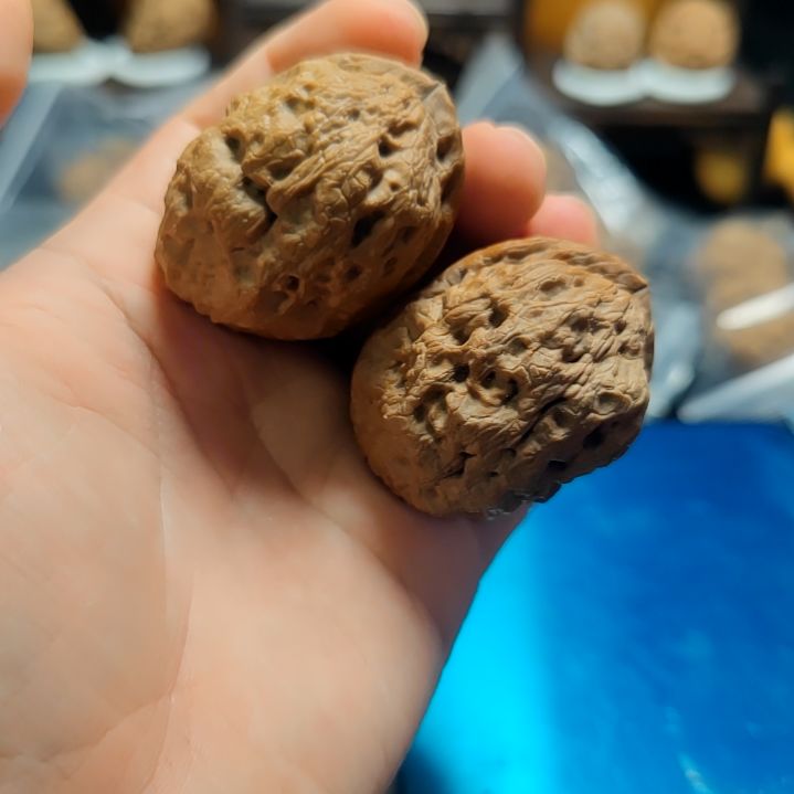 文玩核桃吊坠龙纹石44尺