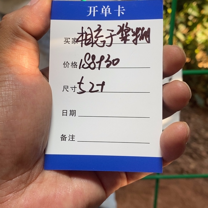 相***…非金属所见皆所得