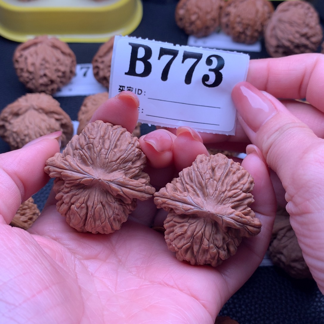 核桃四座楼773链接39尺全