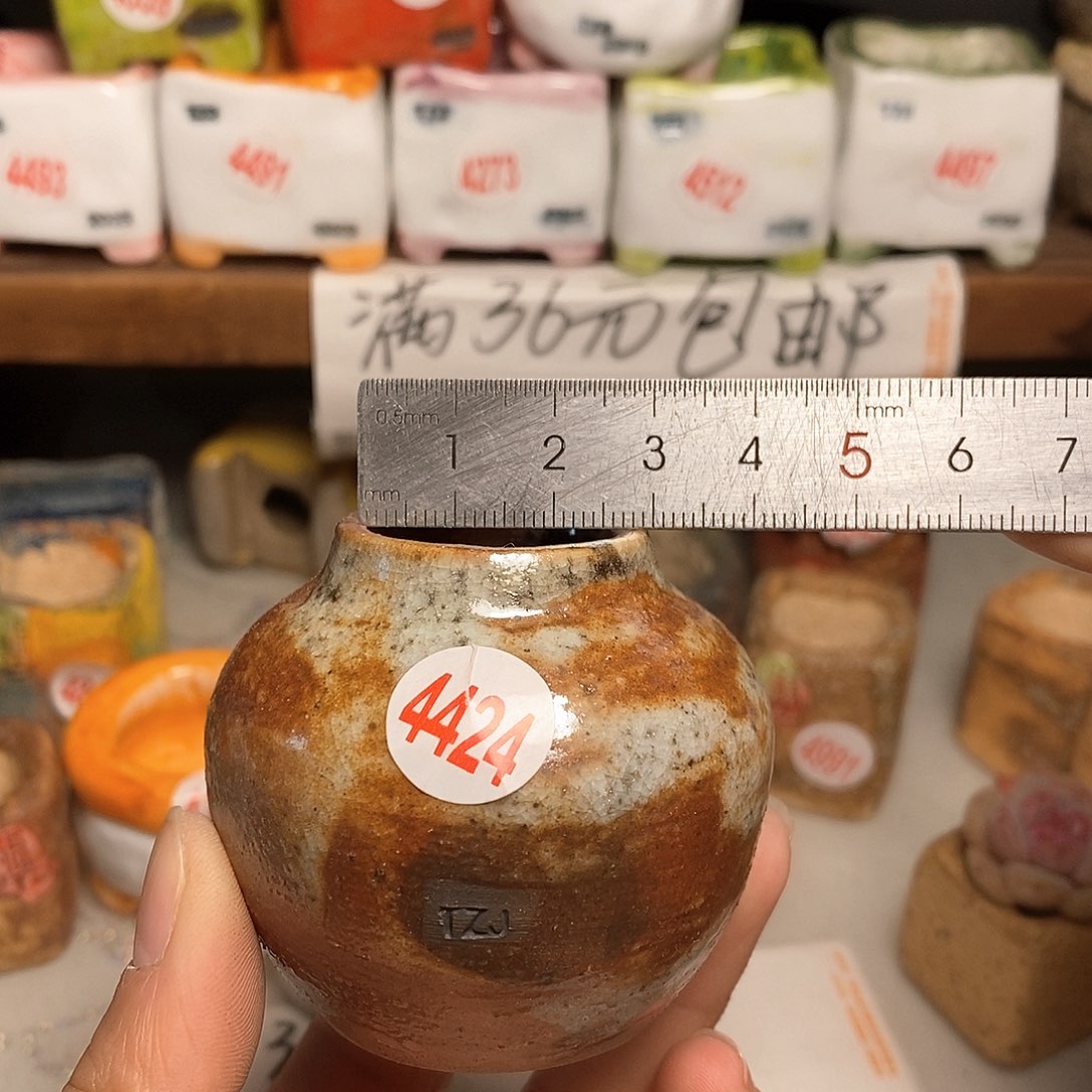 红陶拍5送一个小