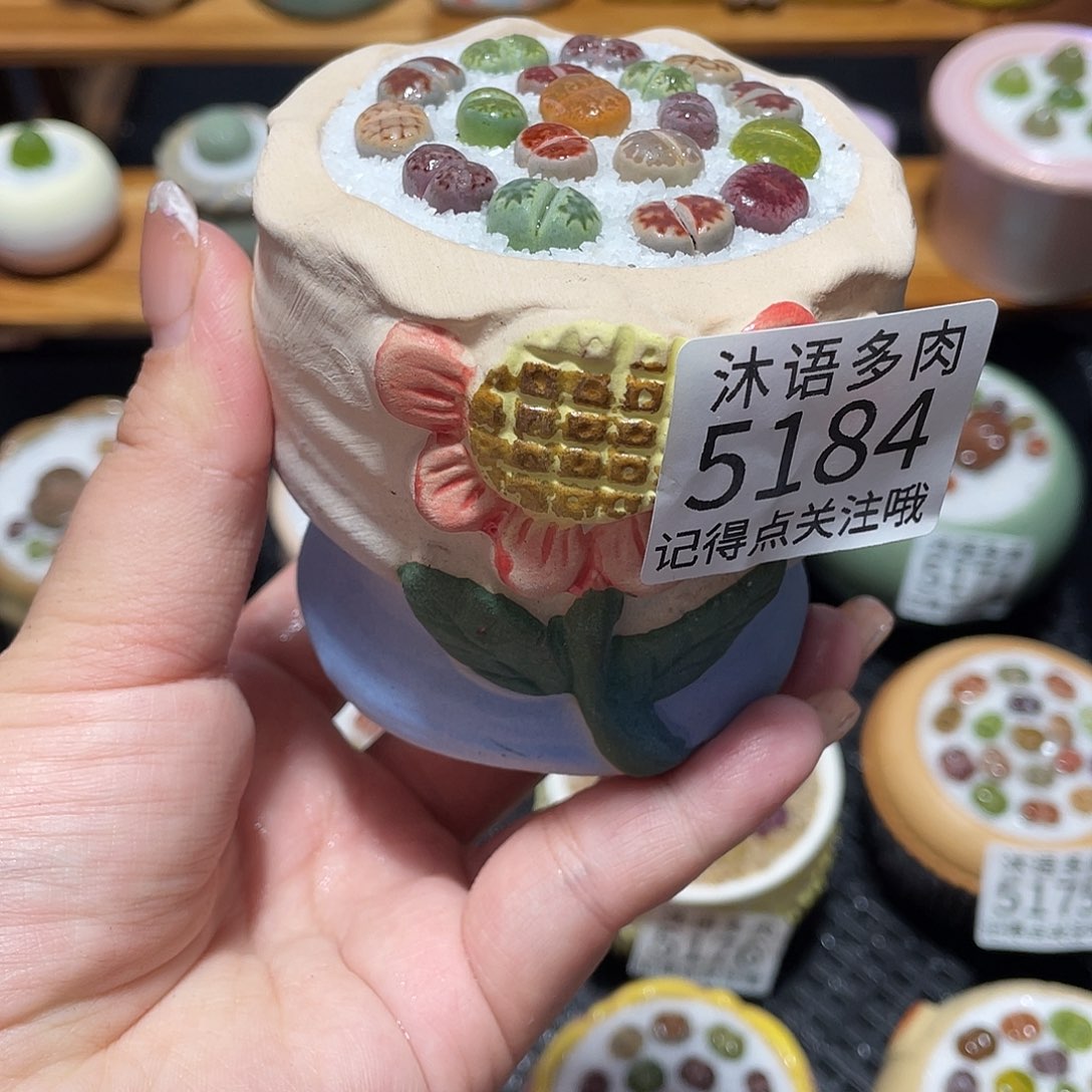 带盆土植物 一物一拍5184