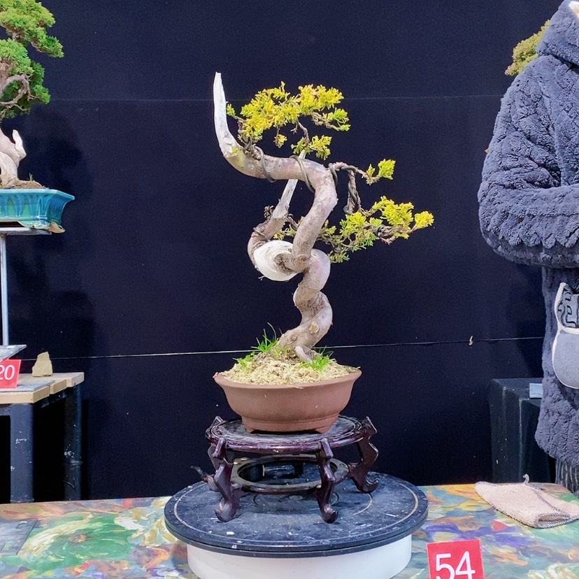 【闪购商品】完全开放用****9