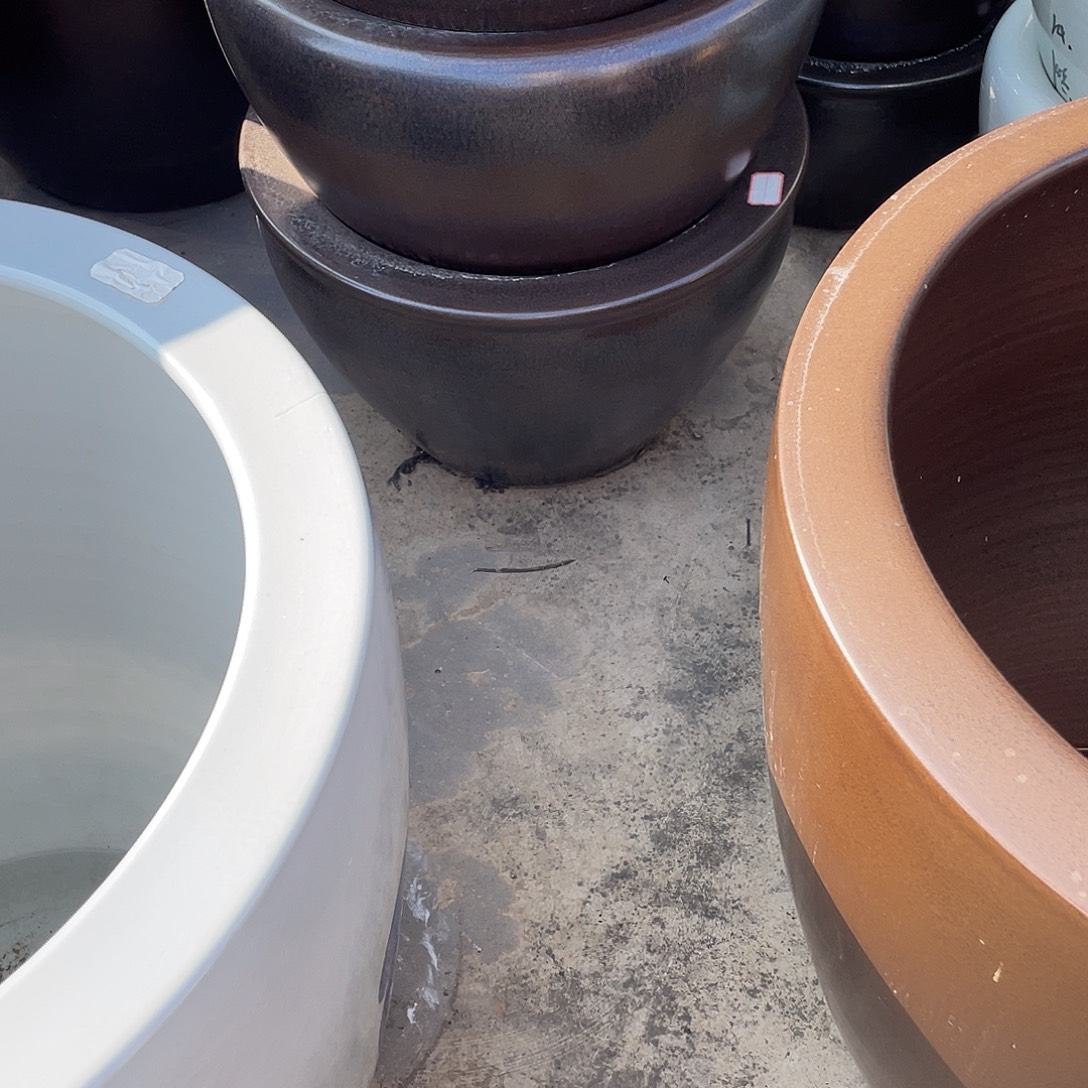 缸瓷器瓷器53高度32瓷器