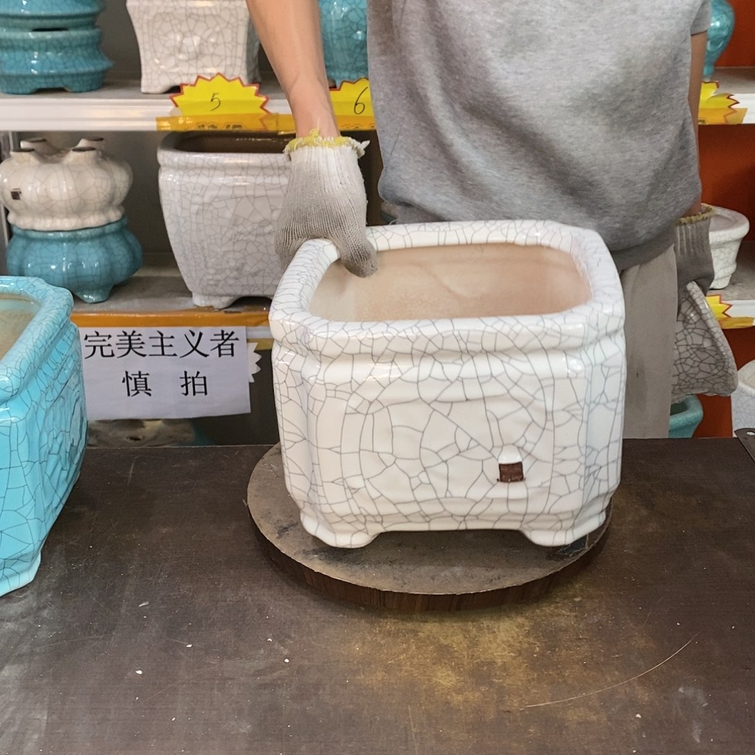 梦*花盆花盆里的花都开