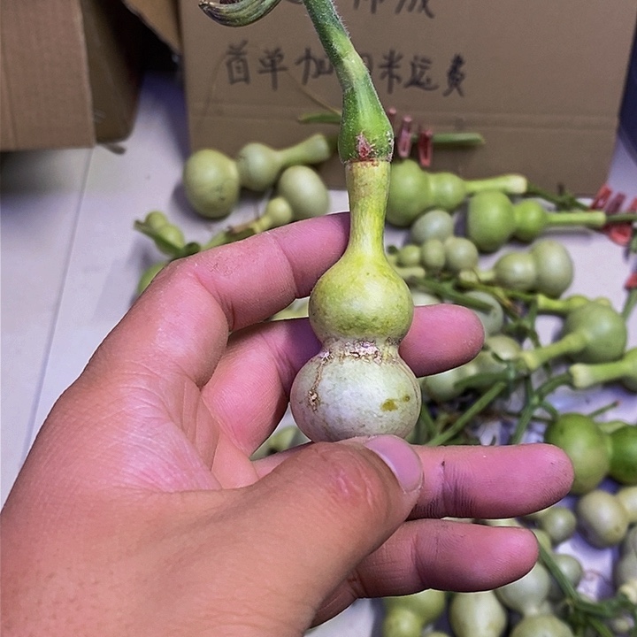 水*?长嘴哈哈哈哈哈哈哈哈哈哈哈好