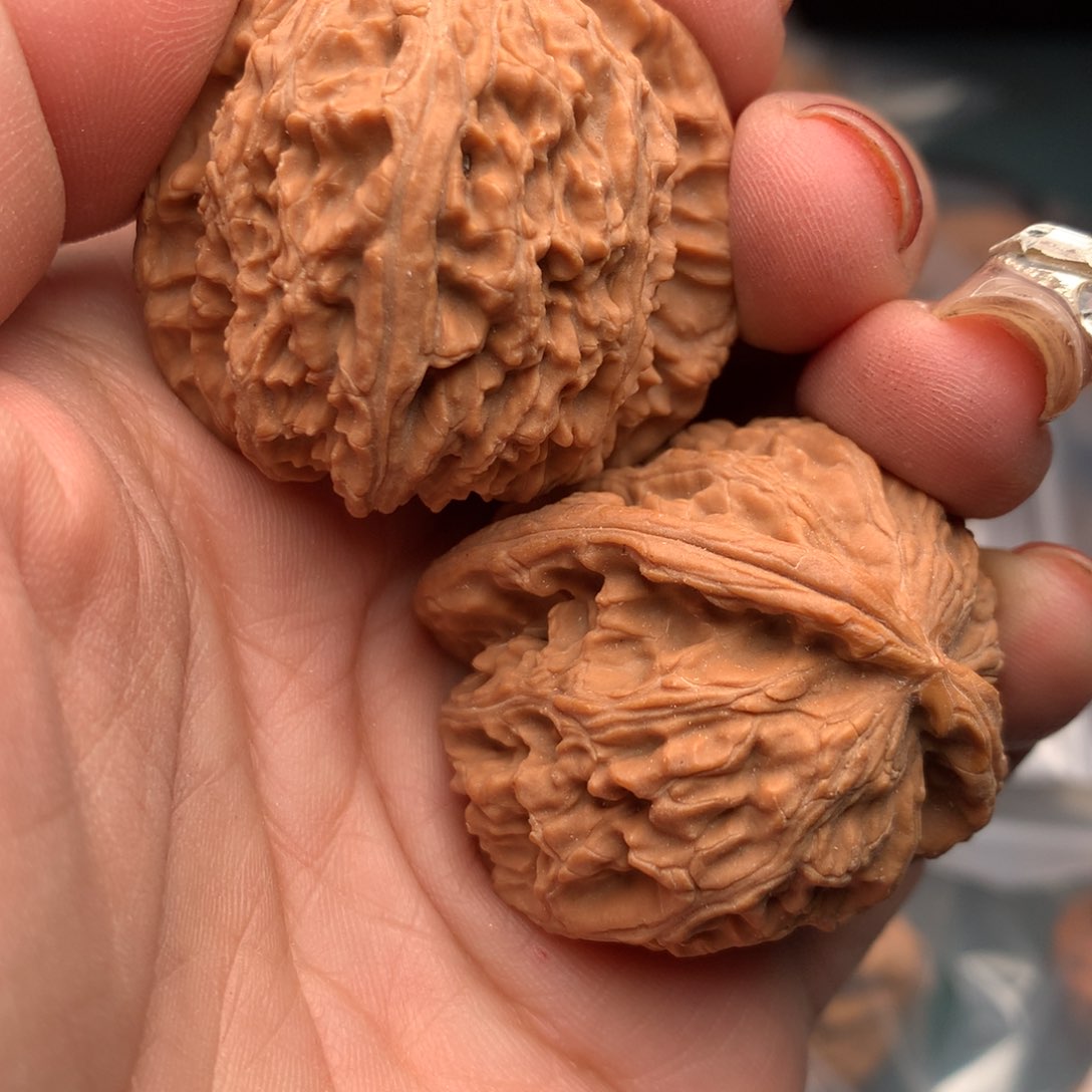 文玩核桃把件.****.白狮子102