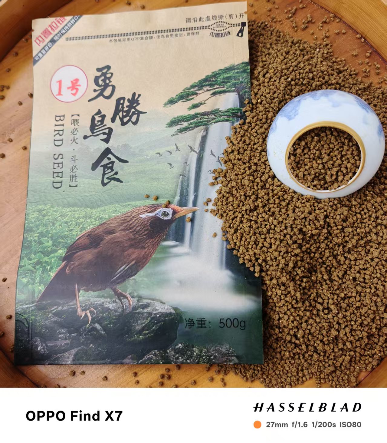 画眉斗鸟提性壮膘收身亮羽 增强打斗能力