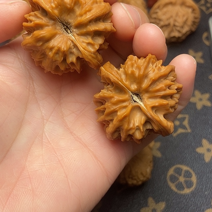 文玩核桃把件草大龙