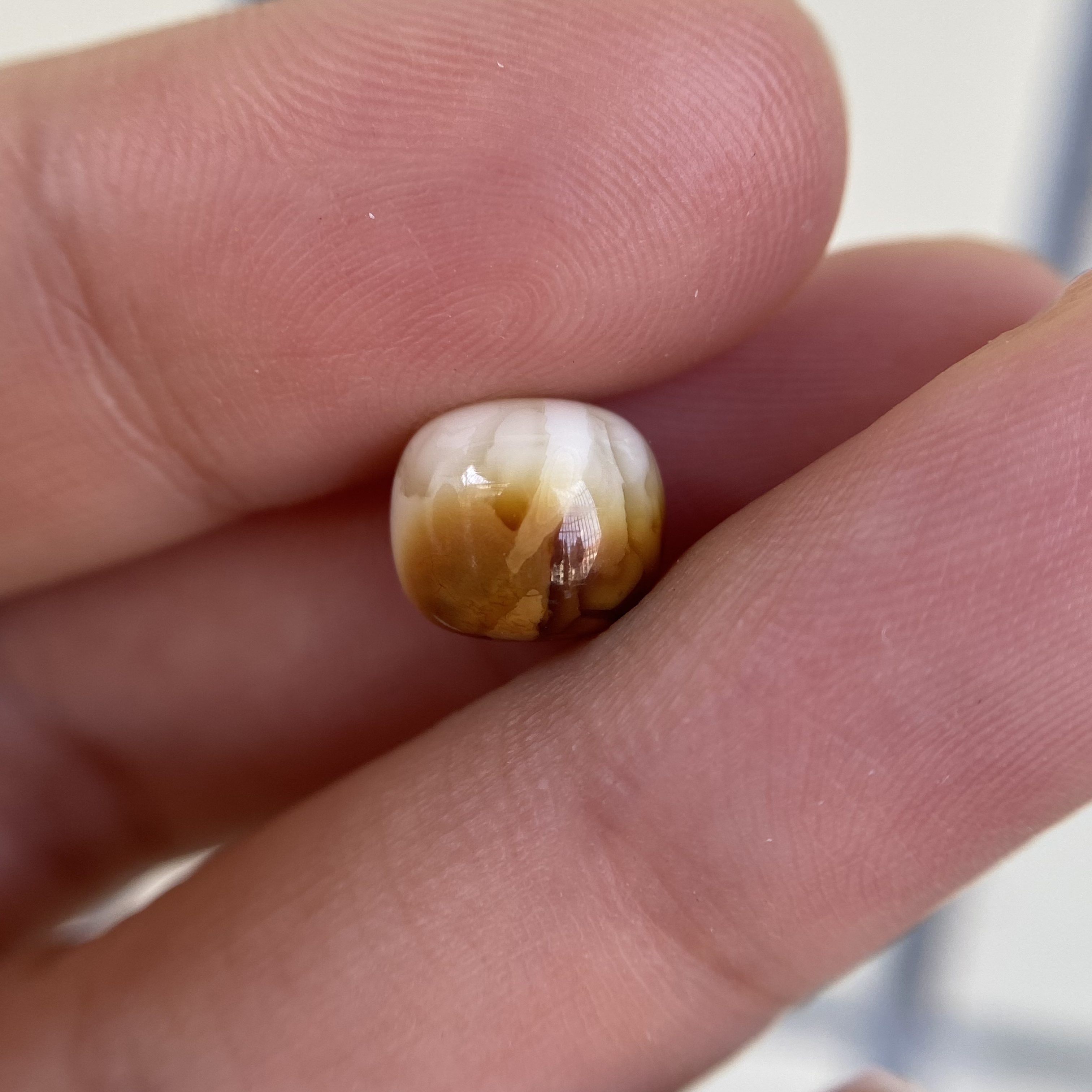 蜜蜡沁色白老型配饰9.1×8.1mm，啥问题都没有，无优化保天然