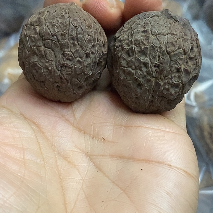 文玩核桃把件云南铁核桃基地30