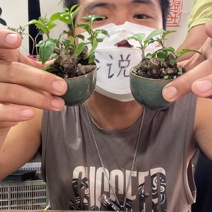 依***0无花朵退款拉黑167