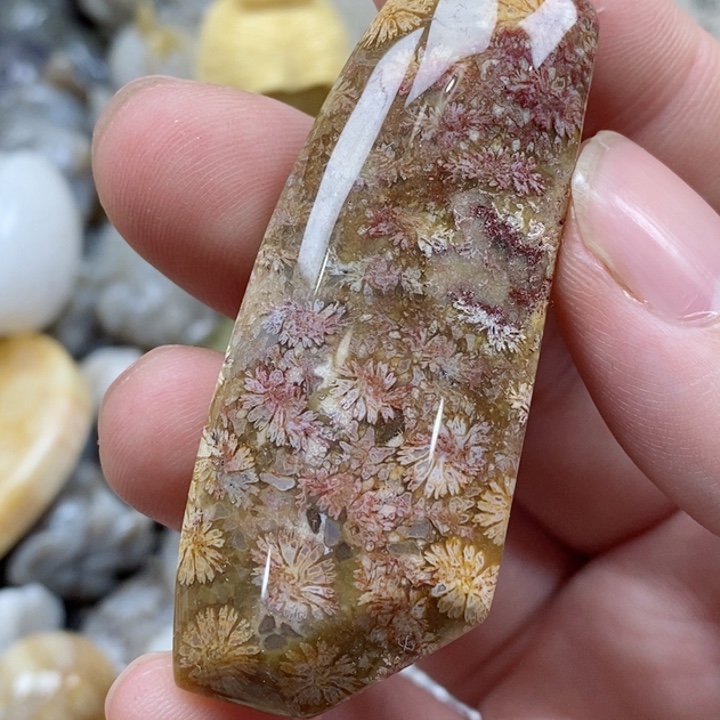 颈饰未镶嵌硅化珊瑚（珊瑚玉）