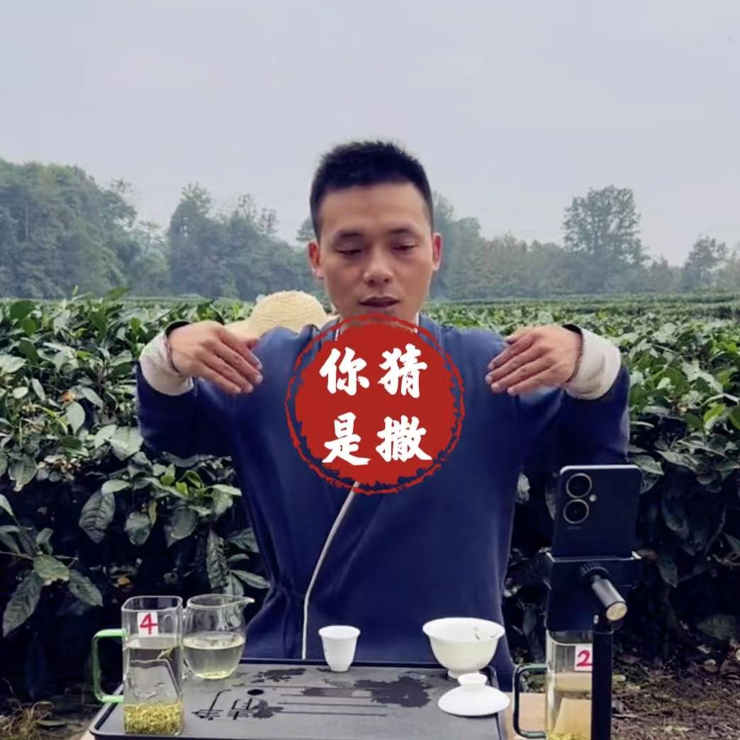 【茶叶你猜】绿茶花茶四川雅安蒙顶山茶茶叶新茶特级茶自产自销一罐