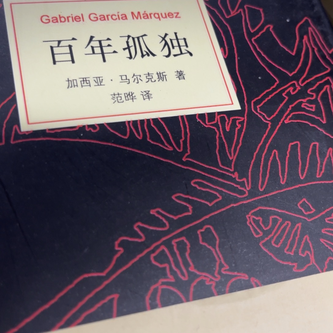 百年孤独精装一个