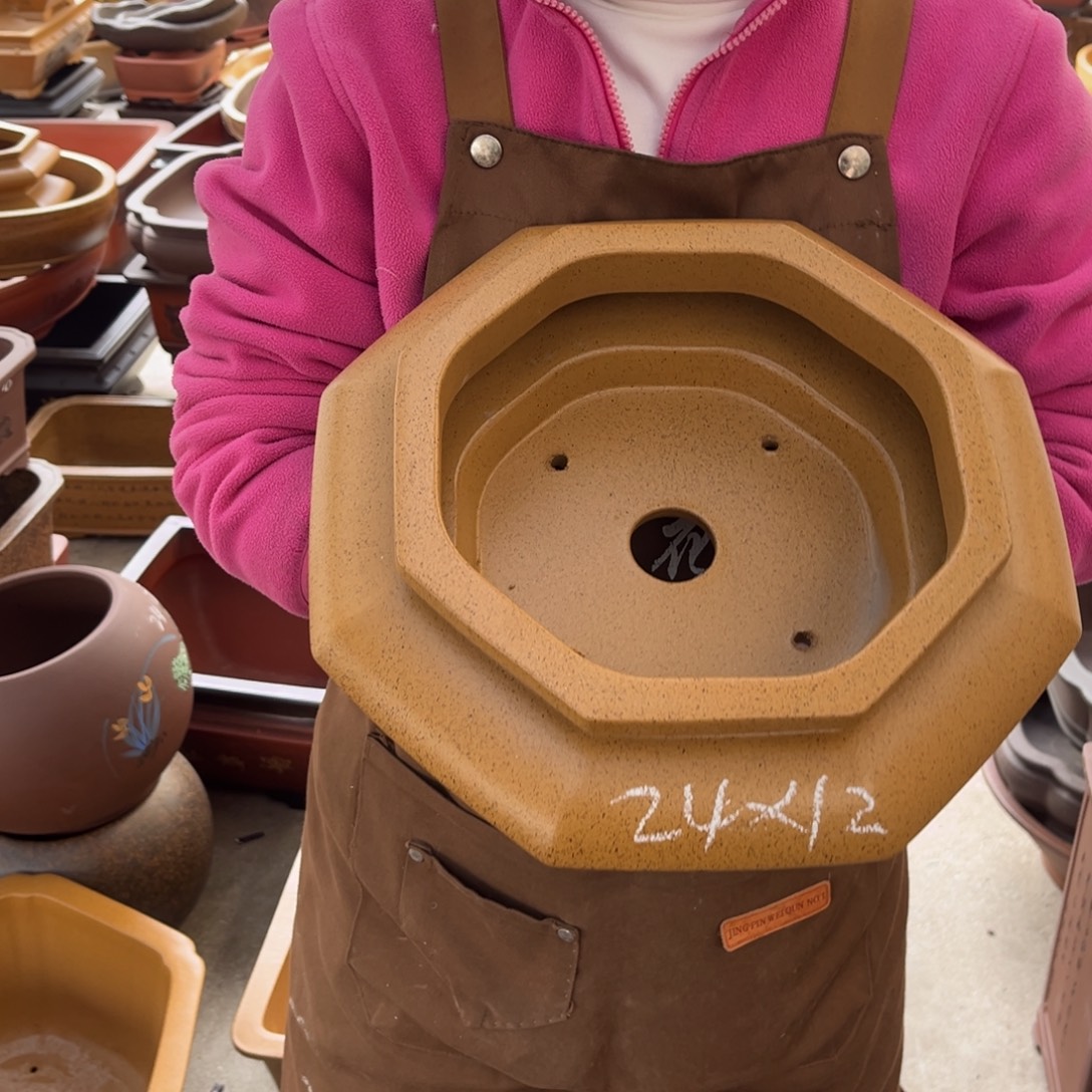 花盆紫砂盆景艺术