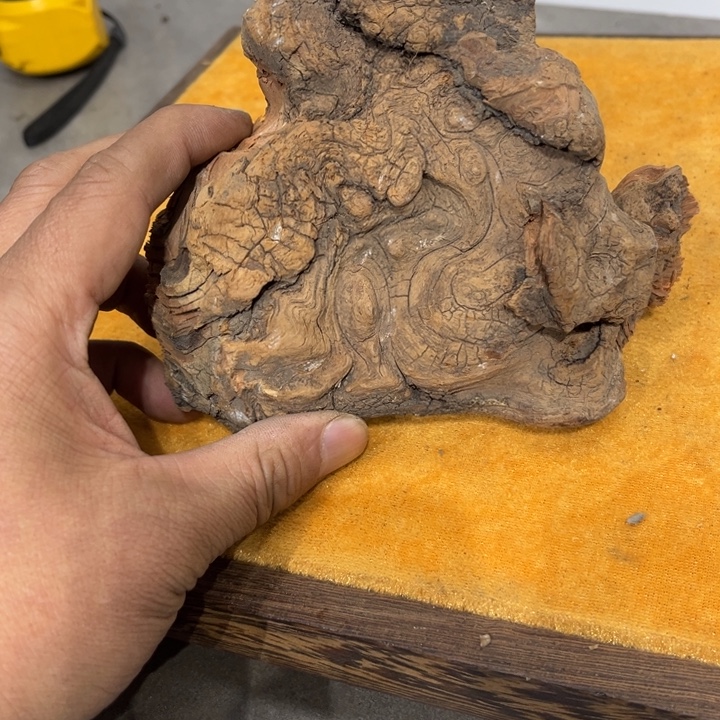 江***洋柏木崖柏等自然景区的生态保护与